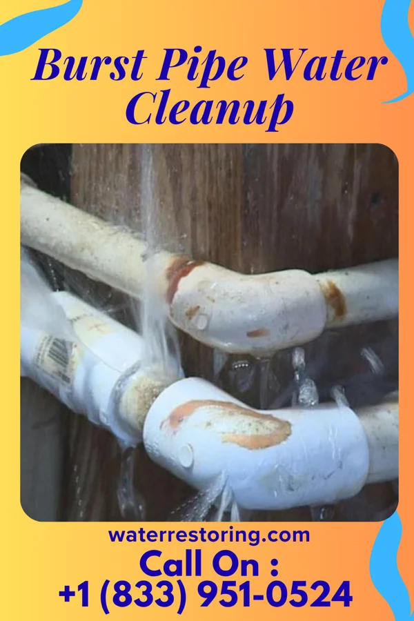 Burst Pipe Water Cleanup in Carmi, IL