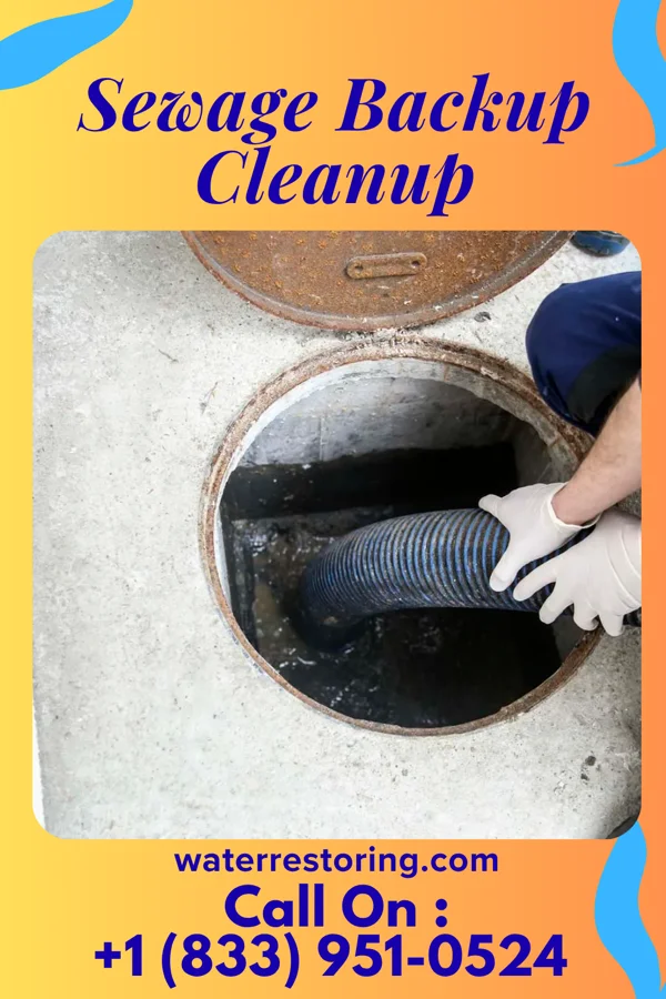 Sewage Backup Cleanup in Carmi, IL